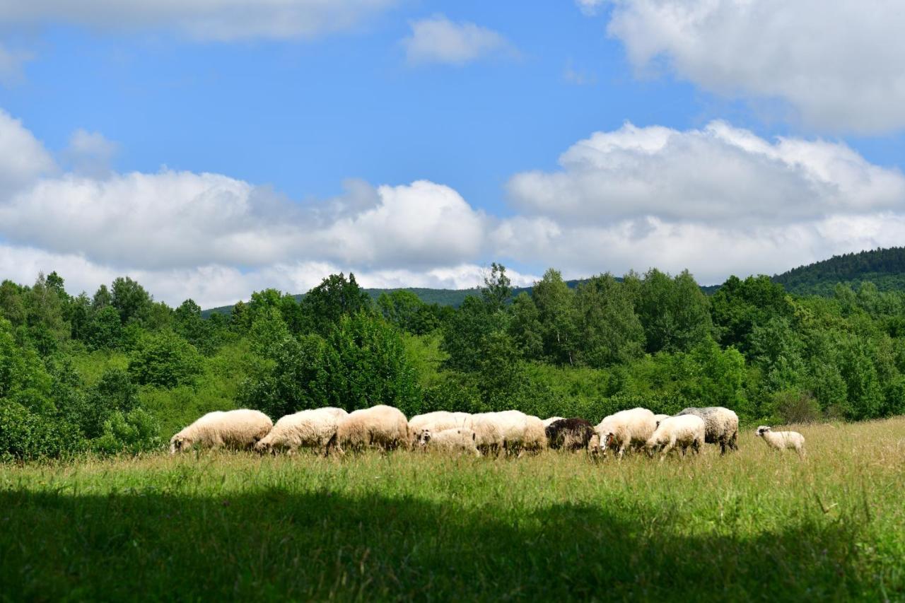 Natura Hause Rakovica Zewnętrze zdjęcie