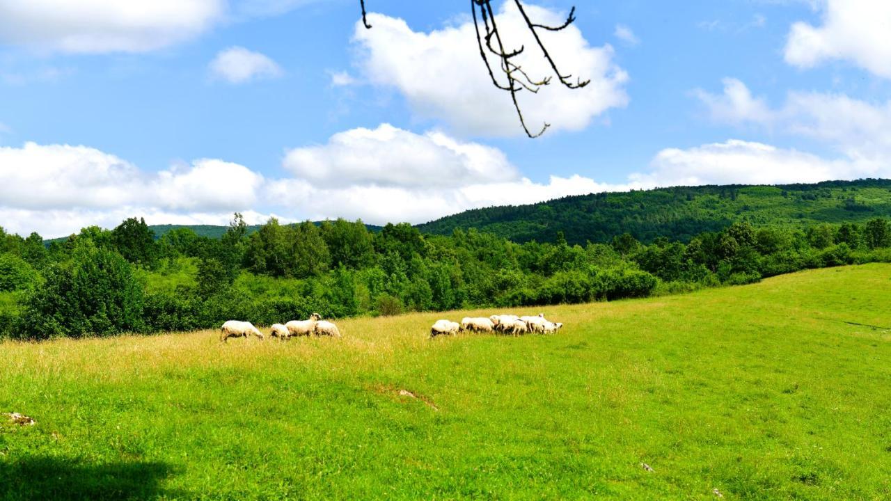 Natura Hause Rakovica Zewnętrze zdjęcie