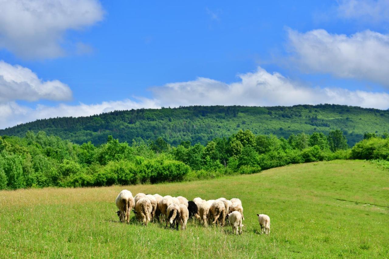 Natura Hause Rakovica Zewnętrze zdjęcie